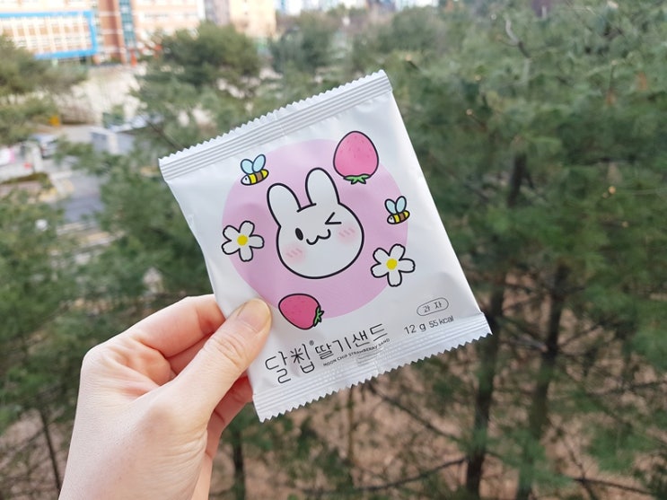 달칩 딸기샌드 바삭한 라이스칩 쌀과자