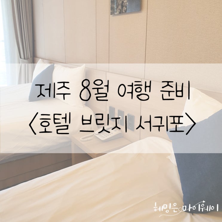 [호텔 브릿지 서귀포] 제주 8월 여행을 위한 가성비 좋은 호텔 추천