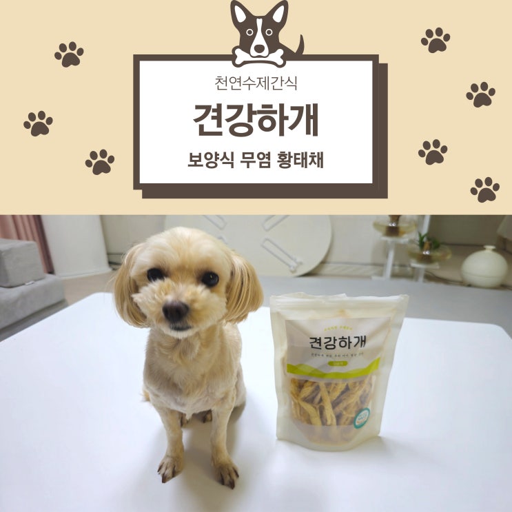 견강하개 강아지 황태채 수제간식 리뷰, 신선도와 기호성 완벽 분석