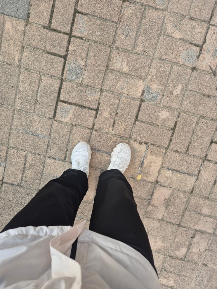 뷰디아니 시카 앰플 토너 패드 트러블 피부 진정 후기 수정중