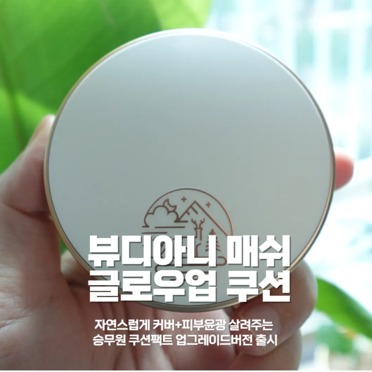 뷰디아니 메쉬 글로우 업 쿠션 : 승무원 쿠션 업그레이드 버전! 비포 & 애프터 리뷰