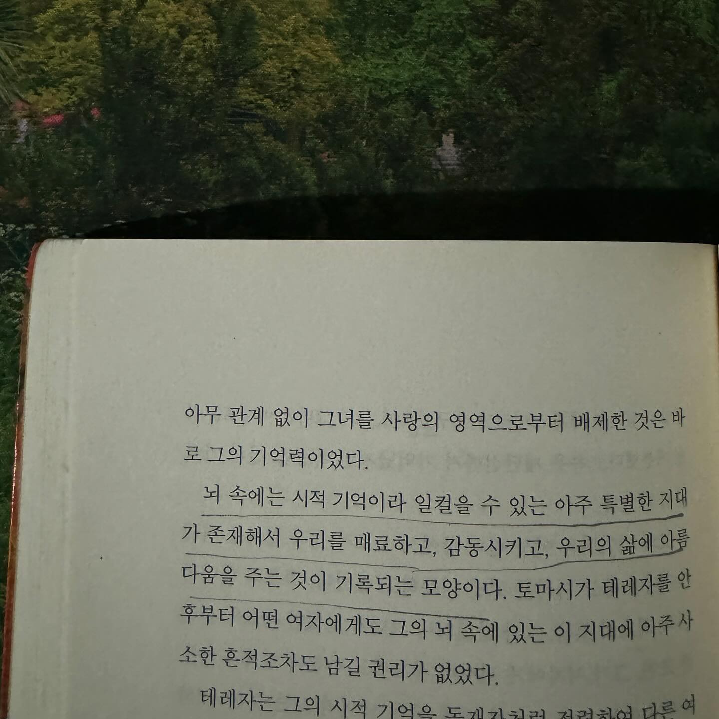 지나간 여름의 마음가짐 🍀💚
