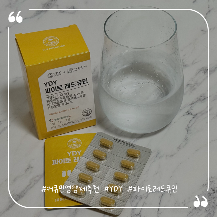 커큐민영양제추천 YDY 파이토레드큐민