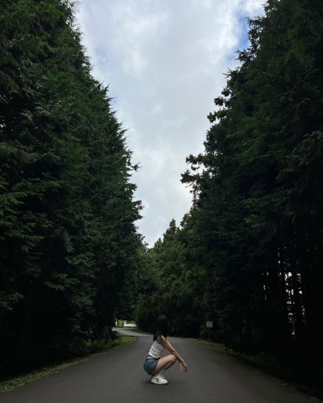 이번엔 초록색이오Vv🍃