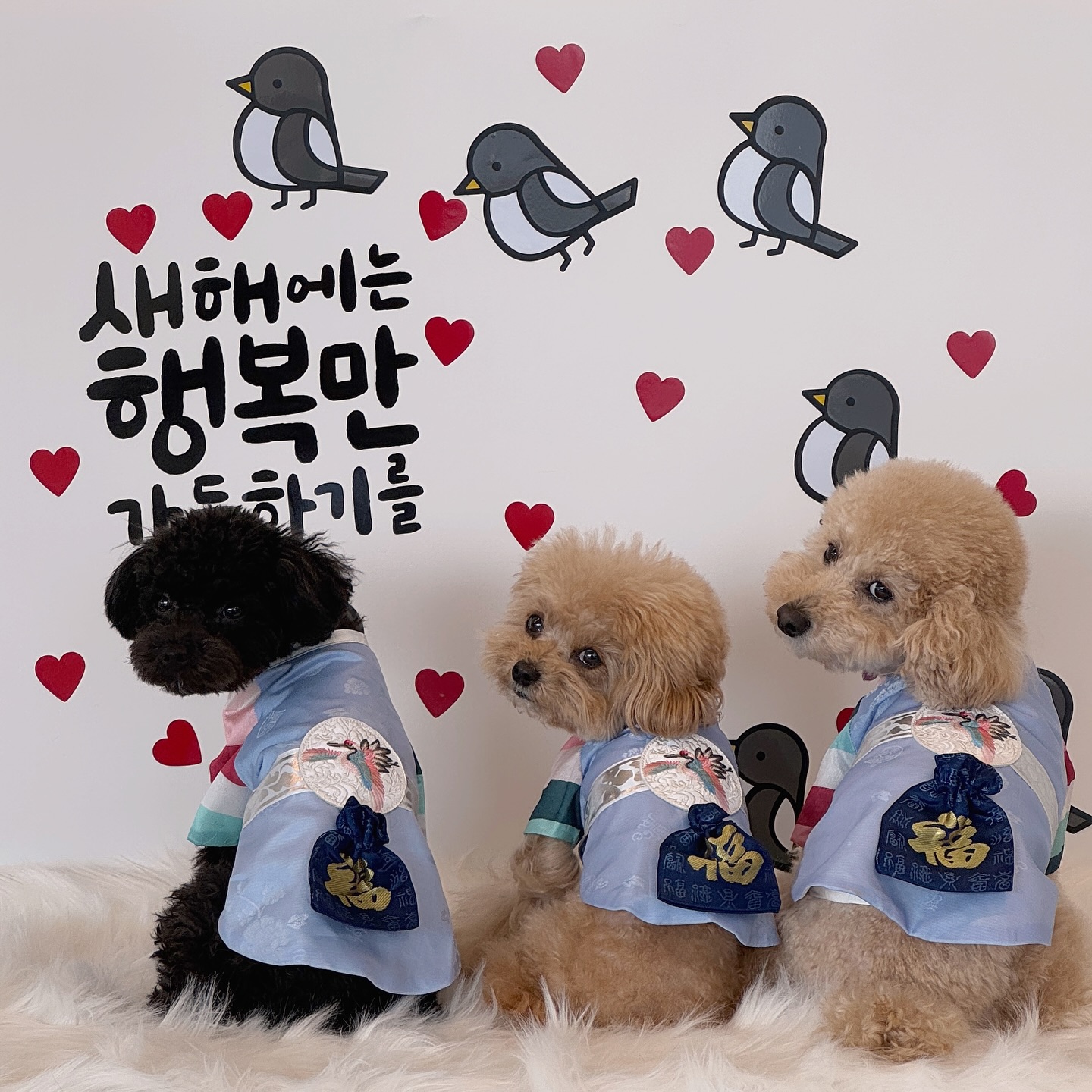 ⠀
새해 복 마니 바드세오 🙇🏻‍♀️