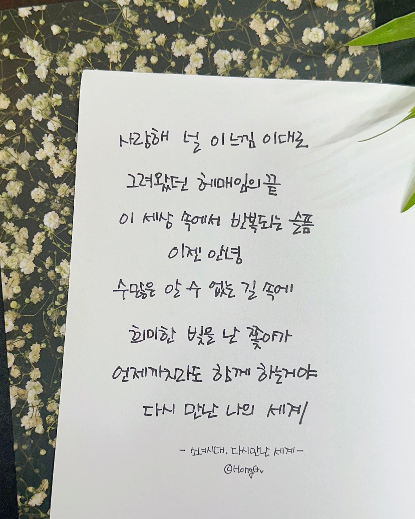 사랑해 널 이 느낌 이대로 그려왔던 헤매임의 끝 
이 세상 속에서 반복되는 슬픔 이젠 안녕 
널 생각만 해도 난 강해져 
울지 않게 나를 도와줘 
이 순간의 느낌 함께 하는거야 
다시 만난 우리의... 
 -소녀시대 < 다시 만난 세계 >

#다만세#다시만난세계#민주주의#캘리그라피 #캘스타그램 #홍지캘리