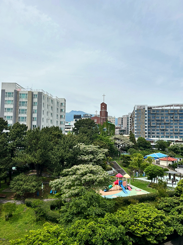 직거래숙박앱으로 할인받고 제주브릿지호텔로 가족여행 고고