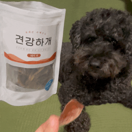 [견강하개] 견강하개 돼지귀 슬라이스 강아지간식추천