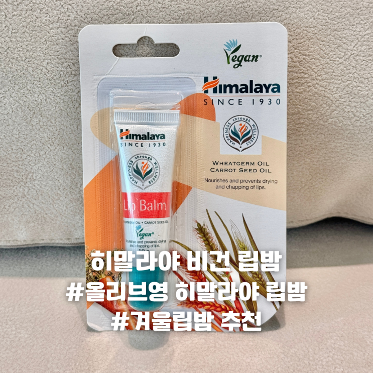 올리브영 히말라야 립밤 겨울립밤 추천 비건인증 데일리 립 케어 솔직후기