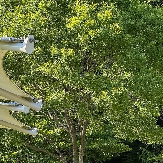 쫀하언니 on Instagram: "#광고 x @vanarin_official 

제가 전부터 갖고 싶던 텐트가 있었는데 그 로망을
이루었지모예요?! 
정말 펼치자마자 너무 예뻐서 만족, 대만족했다지요.

꺼내자마자 설치완료! 설치, 해체가 간편한 원터치 텐트예요.

폴리에스터 190T 소재로 내구성 좋고 생활 방수까지 되서
살짝 비오는거까진 걱정 없을거 같아요.

타사 대비 10cm 높은 천장고로 우리집 꼬맹이가 섰을때도
큰 문제없이 편하게 사용할수 있더라고요.

UV+50자외선 차단으로 봄부터 가을까지 쭉 사용하기 
좋은 우리집 나들이 필수템이 되어 버렸습니다.

감성있는 아이보리 색감과 쌈박한 디자인에 한번 반하고
사진도 잘 나오더라고요^^

안쪽에 창이 있어 개방감까지 있어요.
전용 보관가방이 있고 컴팩트하게 폴딩되어 보관까지 쉬움!

소원 이루었으니 많이 놀러 댕겨야되겠죠?

#원터치텐트#나들이텐트#피크닉텐트#미니텐트
#그늘막텐트#바나린"
