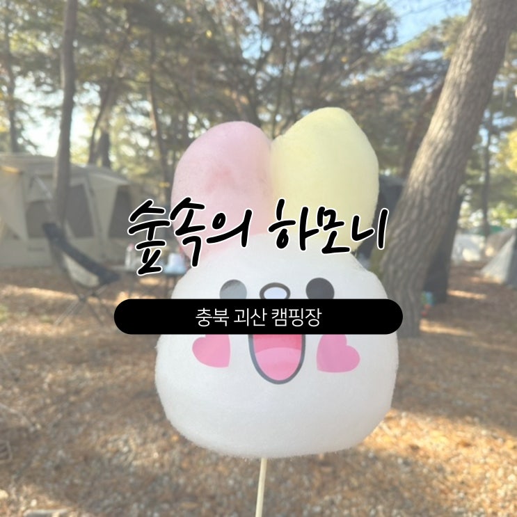 충북 괴산 캠핑장 :: 숲속의 하모니, 강뷰, 수영장 캠핑장 모든게 완벽해