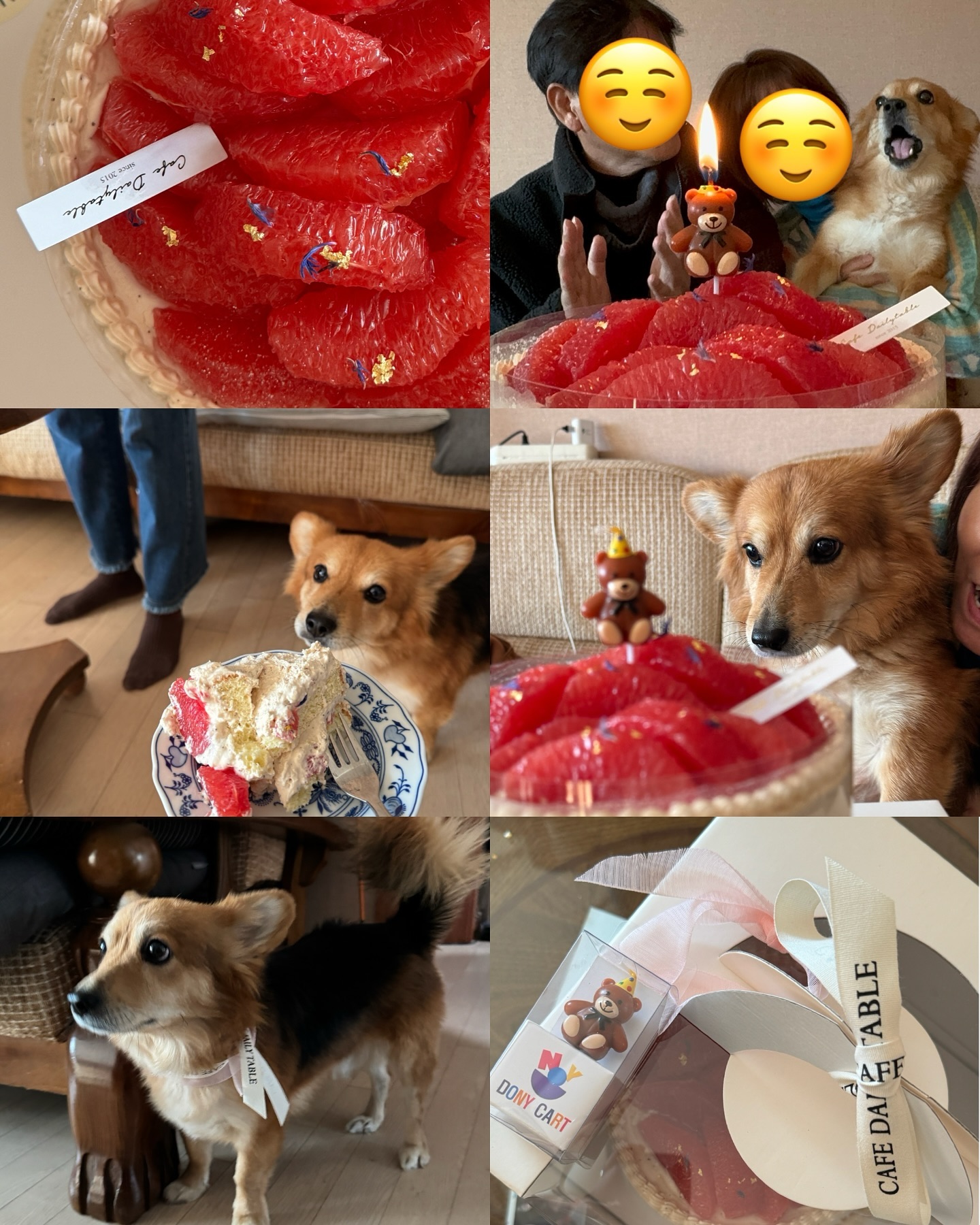 🦊me._.rrry :생일파티 참석했따ㅏㅏㅏ 나두 케이크….
노래도 열심히 불렀다.
자몽케이크👍