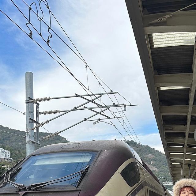 mimi💎 on Instagram: "여수 델다준 기차랑🚞🛤️"