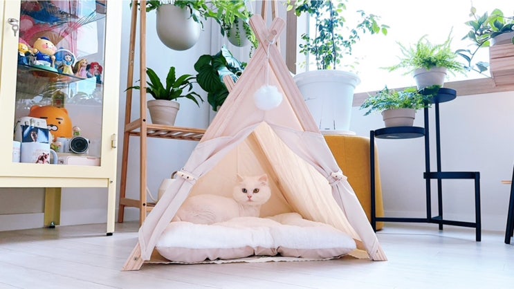 고양이 텐트 숨숨집. 원목 하우스로 인테리어 만족도 굿