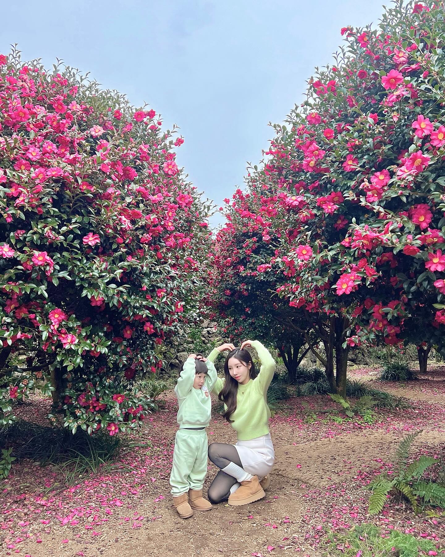 #jeju #jejuisland #seogwipo #🌺 

동백꽃 실컷 보고왔다~~😉 #겨울제주도여행