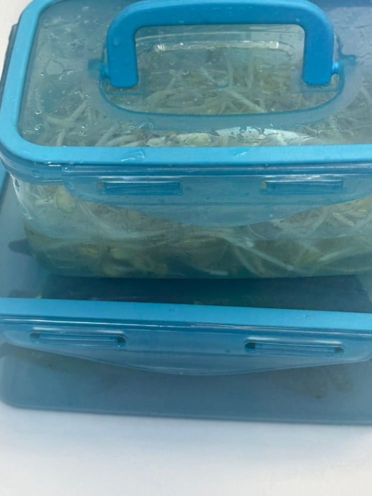 신선함 그대로 유지되는 리젠리빙 몬스터반찬통 :: 위생적인 향균 반찬통