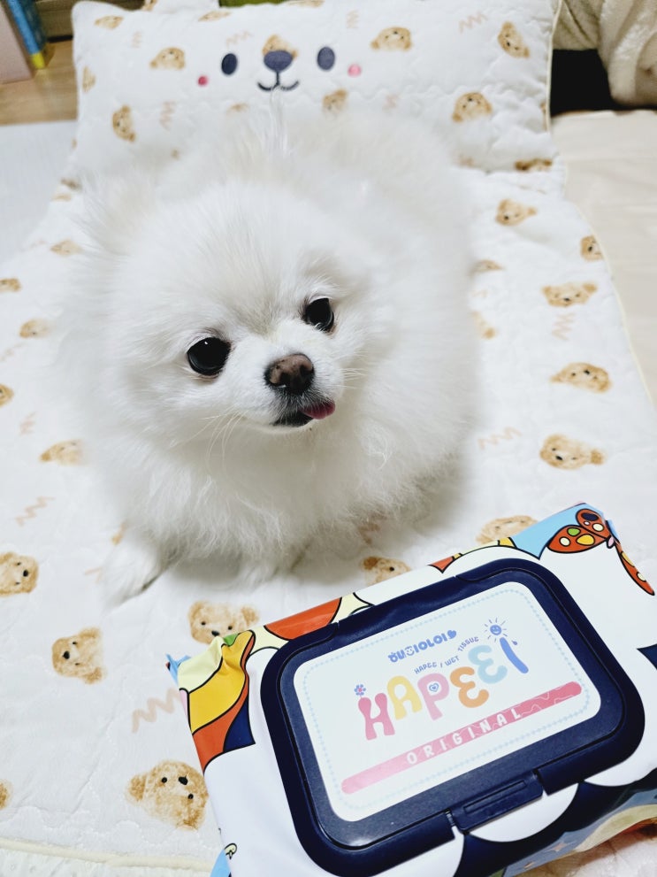 무향물티슈 해피아이 초순수 아기물티슈 오리지널 안심하고 사용하는 물티슈