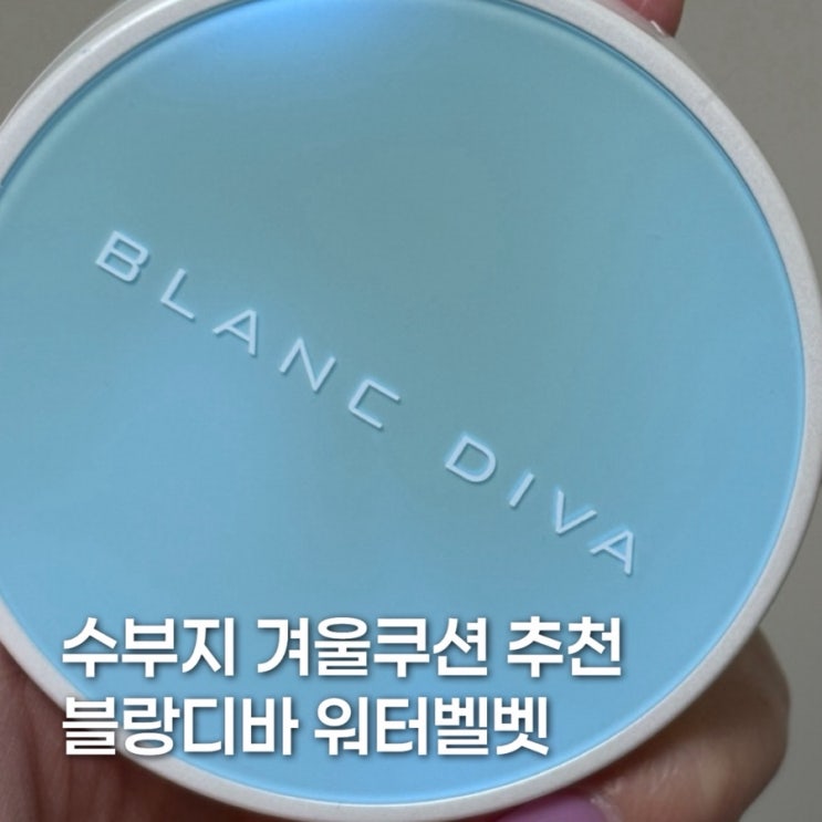 수부지 겨울 올리브영쿠션 블랑디바 워터벨벳 로지 21호 후기