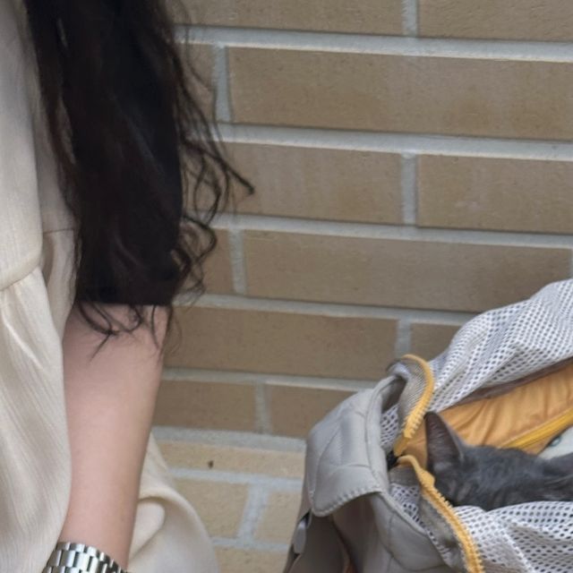 하나 on Instagram: "#광고 고양이 데리고 다니기 참 쉽쥬 😝💛 두마리 냥이를 키우면 이동가방은 필수! 집에 있는 이동가방은 백팩 형식이라 냥이들이 불편해하고, 무거웠는데 꽁냥꽁냥제이