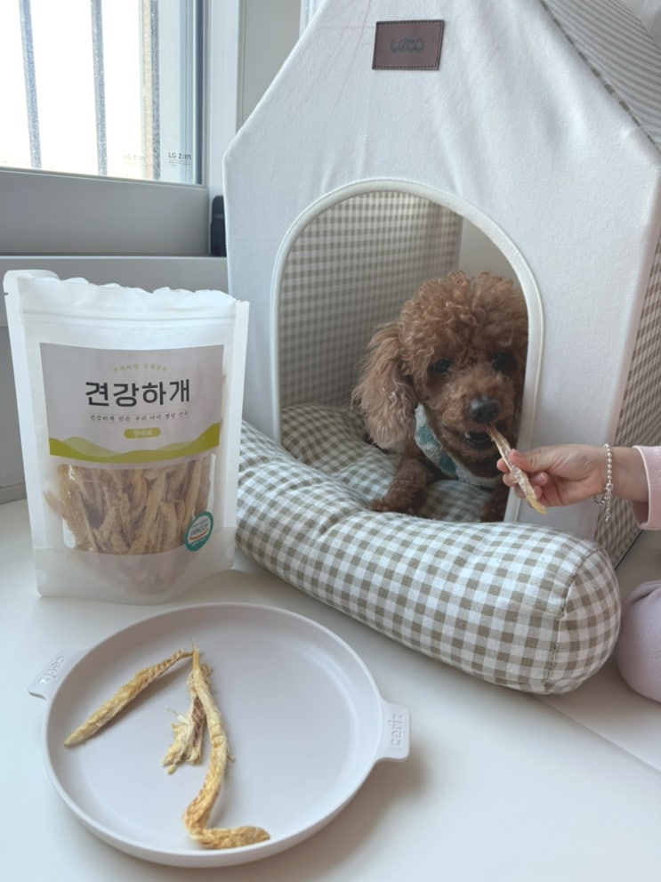 강아지 수제간식 황태채 견강하개 추천과 강아지 황태효능
