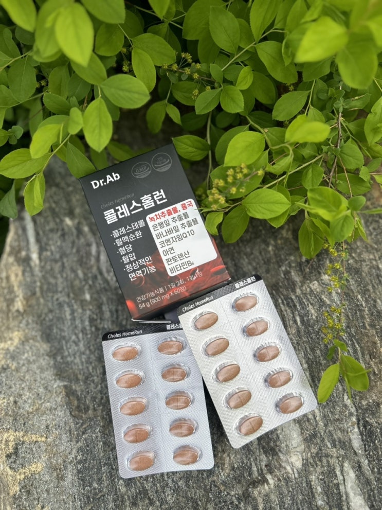 혈행개선에 좋은 코큐텐 부모님선물 콜레스홈런 추천