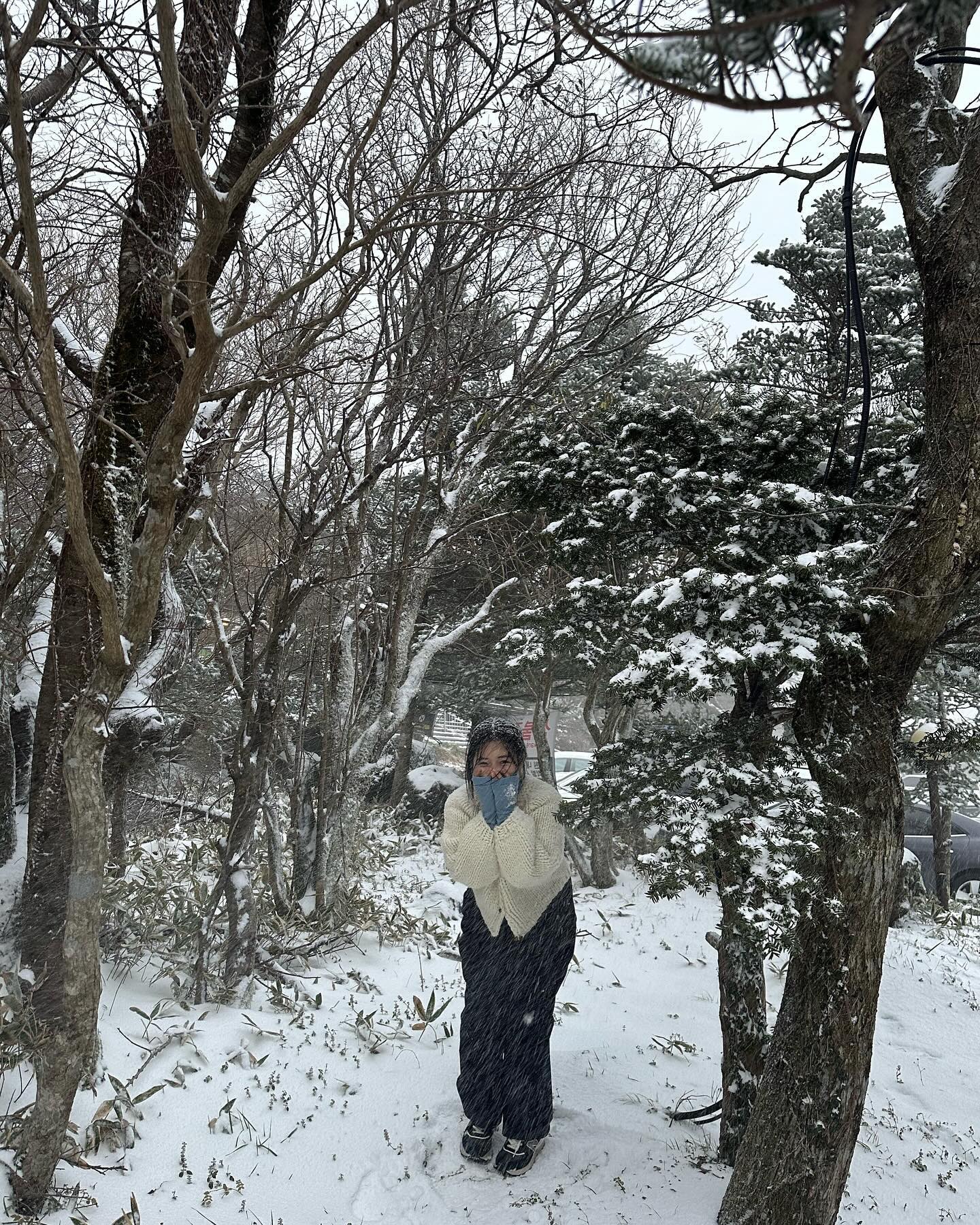 콘텐츠