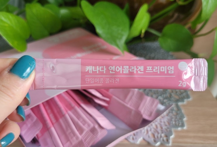 콜라겐추천 상아제약 캐나다 연어콜라겐 프리미엄 이너뷰티