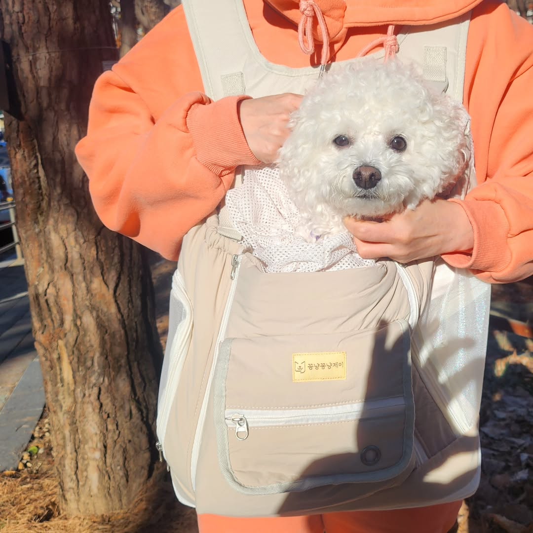 김선영 | #광고#꽁냥꽁냥제이#강아지앞가방#강아지산책가방#강아지이동가방#강아지백팩#고양이이동장#고양이캐리어 개엄마는 물론, 우리 댕댕이도 편안한 가방! 강아지앞가방 꽁냥꽁냥제이를 만나게 되었어요. 디자인도 예쁘고, 소재도 너무 좋은 제품 5.2kg의 우리... | Instagram