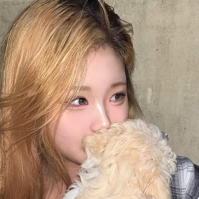 비비 vivi ⋆౨ৎ˚⟡˖ ࣪ on Instagram: "가나디 조아 ~~ 🖤

우리 소녀분들 여름에 가볍게 걸치기 
좋은 셔츠 찾는다면 바비브라운 추천해요 :D 

넉넉한 기장과 폼으로 편하게 착용 할 수 있고, 너무 크지 않아서
부해 보이지 않아서 좋았슴당 🖤@@ 

#비바브라운 #여자셔츠 #체크셔츠 #오버핏 #셔츠추천 #상의 #top #shirt #overfit #vivabrown #ビバブラウン #上衣 #カーディガン"