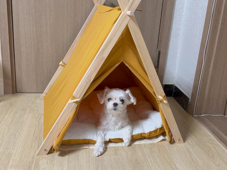 고양이숨숨집 강아지텐트, 예쁘고 편안한 꽁냥꽁냥제이 숨숨집