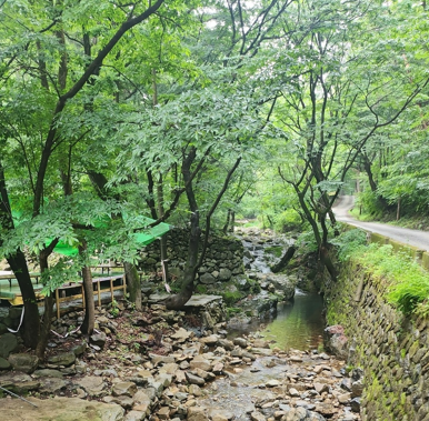 [문경계곡맛집] 아이들과 가볼 만한 곳 운달계곡 '김용운달식당'