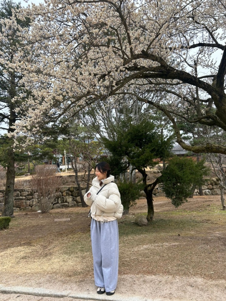 오사와 크롭 패딩 추천 포밍 크롭 스트링 패딩 점퍼 그레이 착용후기