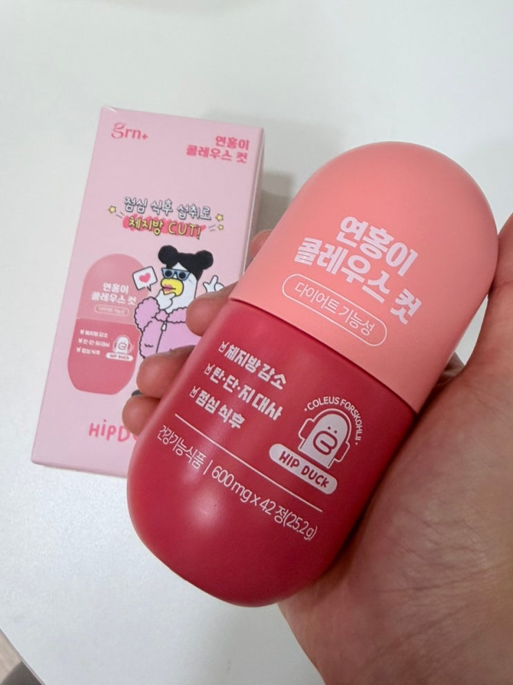 GRN 연홍이 콜레우스 컷 후기｜포스콜린·콜레우스포스콜리 함유, 점심 후 간편 루틴