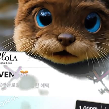 도도곰팅 | 라이프 & 트렌드 크리에이터 on Instagram: "#광고 렌즈 저렴하고 간편하게 구매하는 방법! 

저도 늘 렌즈를 껴서 렌즈사는게 은근 일인데
이제 #오로라글로벌렌즈 에서
착한 가격으로 간편하게 구입할 수 있어요~

아큐브, 알콘, 쿠퍼비전, 바슈롬, 클라렌 등
메이저 브랜드 렌즈 바로 비교 가능하고
높은 할인율로 저렴한 가격에
구매 할 수 있는데요 👏🏻👏🏻👏🏻

착용 주기, 직경, 그래픽 등은 물론
컬러렌즈, 투명렌즈, 난시용, 대용량 등도
한눈에 비교 가능해요

1️⃣ 렌즈 선택 → 도수/컬러/수량 고르기
2️⃣ 매장 선택 → 원하는 픽업매장 (안경원) 지정
3️⃣ 결제 완료 → 교환권 발급 끝!
4️⃣ 매장 도착 → 안내 문자 받고 방문
5️⃣ 상품 수령 → 교환권 번호만 제시하면 렌즈 픽업 완료

지금 회원 할인 혜택으로
더 합리적인 가격으로 만나볼 수 있어요👇🏻

✔ 신규가입 시 1만 원 할인 쿠폰팩 자동 지급
✔ 앱 다운로드
 → 1,000원 적립금 (회원가입)+추가 500원 (푸쉬 알림 ON)
✔ 렌즈 위생 관리 키트 증정 이벤트 진행 중

오로라 글로벌렌즈 앱 설치하고
편리하고 착한 가격으로 #렌즈구매 하세요 📲

@ololagloballens_kr #오로라렌즈 #투명렌즈추천 #콘택트렌즈교환권 #콘택트렌즈픽업 #투명렌즈 #렌즈픽업서비스 #렌즈온라인 #아큐브 #알콘 #쿠퍼비전 #바슈롬 #클라렌 #네오이즘 #미광"