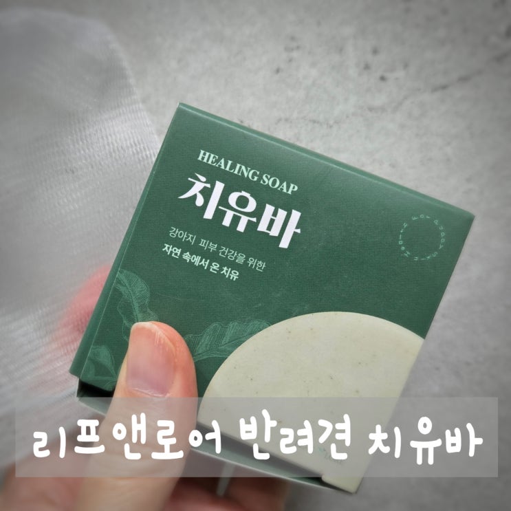 반려견 피부 건강을 위한 최고의 선택! 리프앤로어 치유바