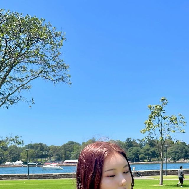현지 on Instagram: "하루종일 산책하구싶은데 .."