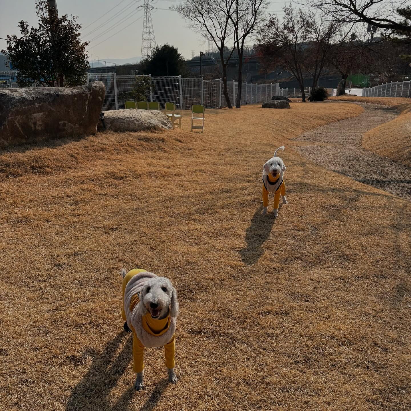 오늘두 즐겁게 살게해주기 성공🐶💙