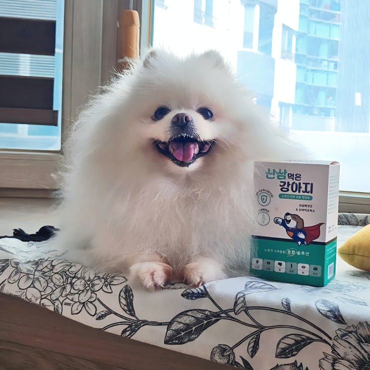 [노령견 전용 종합영양제] 산삼배양근+신바오틱스 산삼먹은강아지