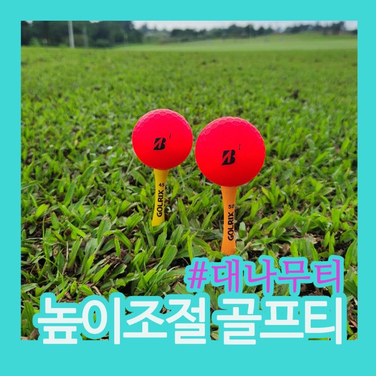 골프티꽂이 나무티 추천｜티샷 루틴 안정감 찾은 골릭스 대나무 골프티 후기