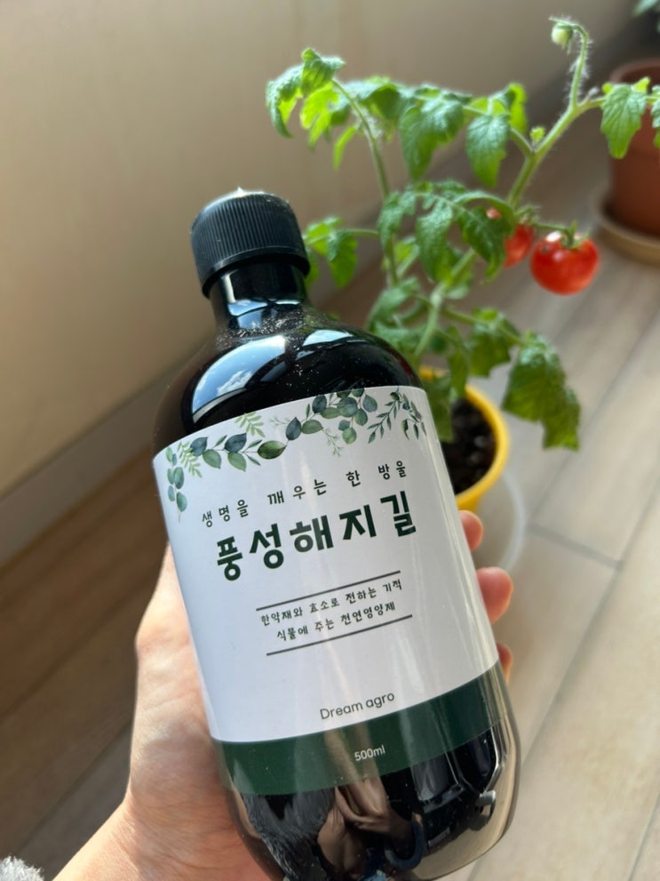 한약재식물영양제 화분 식물영양제 비료 풍성해지길