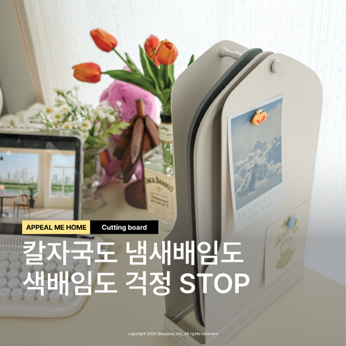 TPU도마세트 애정하는 브랜드 모도리 아이있는집에 이유식도마로 선물리스트 원픽