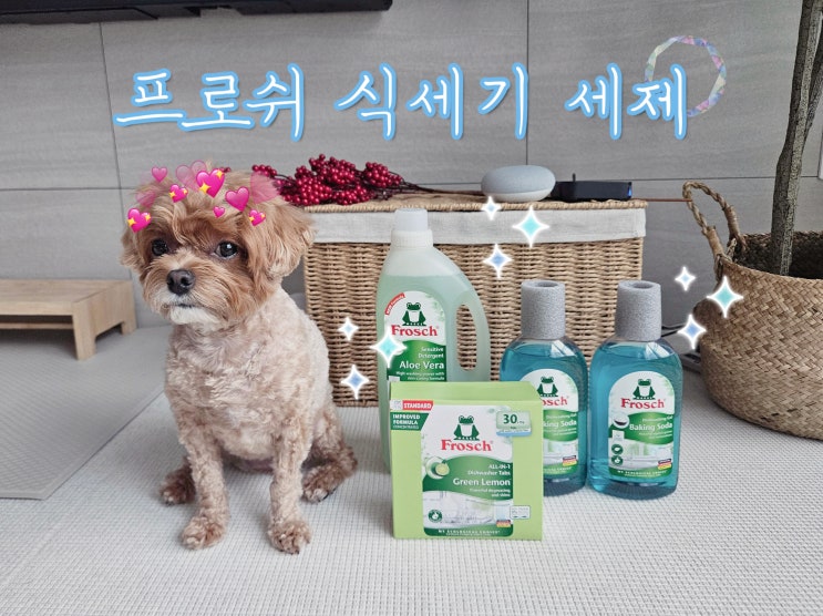 삼성 식세기에도 찰떡인 프로쉬 식기세척기 세제