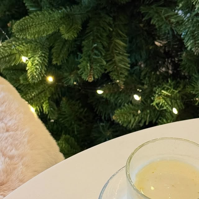 쑤야  |  인천부평 공방장 on Instagram: "#광고
.
.
따뜻한 겨울에 생각나는 고구마라떼,,,맥널티에서 보내주셨어요!
가뜩이나, 다이어트중에 단거 너무 땡기는데...
(다이어트 못하는중....ㅋ)
고구마의 달콤함과 부드러움 그리고, 단백질까지 들어간 라떼라니요,,><
스테비아 사용으로 완전 달코매....

입이심심하거나, 
달콤한라떼가 먹고싶거나,
간식이땡길때,
일하다 출출할때,

맛있게 먹어도 부담없는 ’당‘ 함량이 걱정없다구요ㅠㅠ
집이나, 회사에서 쉽게 마실 수 있어서 더 좋아요!

참고로, 고구마랑 같이 먹으면 맛있을거 같아서
고구마랑 먹었는데....맥널티 고구마 라떼가 더 맛있어서
고구마 먹다 버린거안비밀..

✔️ 고구마 함량 23.9%, 진하고 풍부한 맛
✔️설탕보다 200배 달콤한 천연 감미료 ’스테비아‘ 사용
✔️한 포당 단백질 1.24g
✔️다이어트 중 달콤한 라떼가 땡기신다면 완전 추천
✔️고구마, 라떼 마니아들 강추!!

#맥널티 #스테비아고구마크림라떼 #스테비아 #단백질 #고구마라떼 #단백질음료 #겨울간식 #홈카페 #맥널티커피 #한국맥널티"