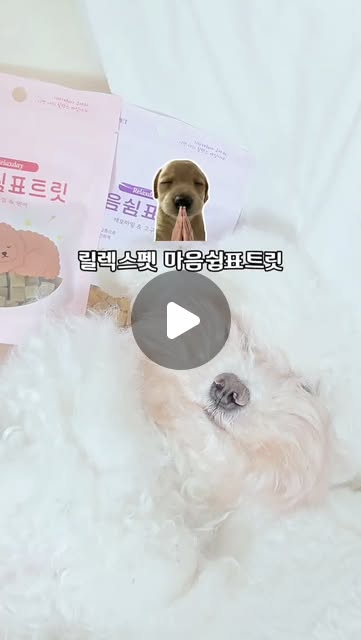 #광고

외출할 때마다 강아지 혼자 두고 나오는 게
제일 마음 쓰였는데 요즘은 외출 전에 이거 하나 챙겨주고 나가요!

분리불안 있는 아이들한테 맞춰 나온 트릿이라
성분도 유기농 캐모마일, 레몬밤, 로즈마리 들어가 있어서 안심되고
사이즈도 작아서 부담 없이 먹이기 좋더라구요

✔ 하루 5시간 이상 혼자 있는 강아지에게 추천!

✔ 불안·스트레스 케어용으로 👍

개인적으로는 먹이고 나갈 때 마음이 훨씬 편해진 게 제일 좋았어요
출근 때문에 어쩔 수 없이 강아지 혼자 두는 견주분들이나
불안한 아이들 케어해주고 싶은 분들께 추천합니다💕

#릴렉스펫 #강아지분리불안간식 #강아지스트레스케어 #강아지심신안정