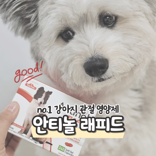 강아지 관절약 안티놀 래피드 240정 든든하게 곳간 채웠어요