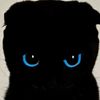  (@lmeowblue) • Instagram photos and videos