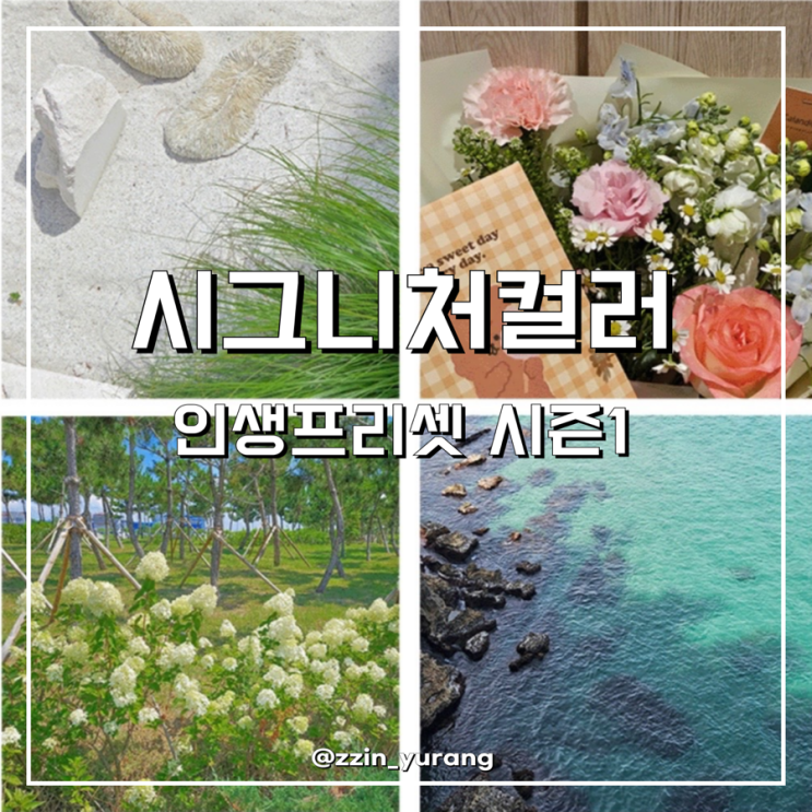 라이트룸 필터 시그니처컬러 인생프리셋 10종 후기