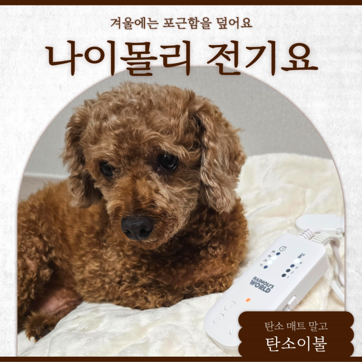 극세사 전기담요 겨울나기 준비는 나이몰리 카본 전기요