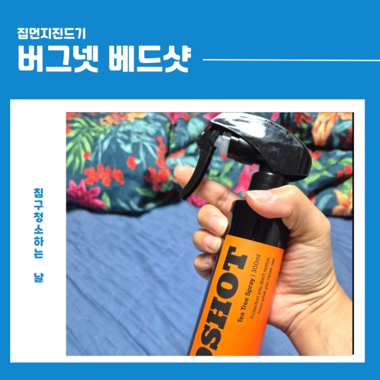 집먼지진드기 걱정 끝! 버그넷 베드샷으로 침대진드기 관리했어요.