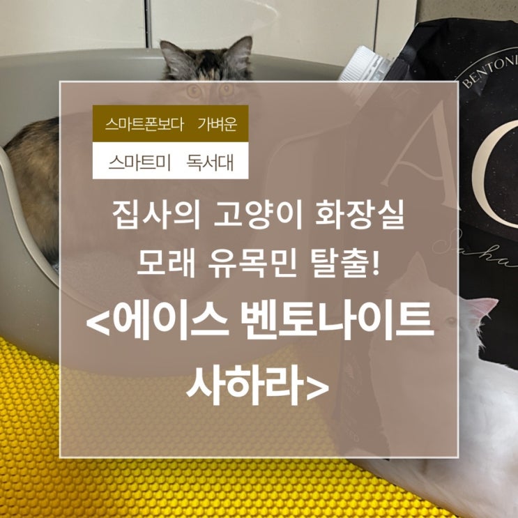 집사의 고양이 화장실 모래 유목민 탈출! [에이스 벤토나이트 사하라] 대만족 사용 후기
